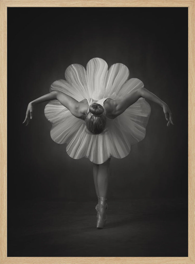 Floral Ballet - Poster / Art Print