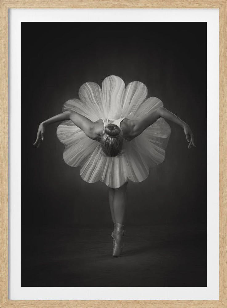 Floral Ballet - Poster / Art Print