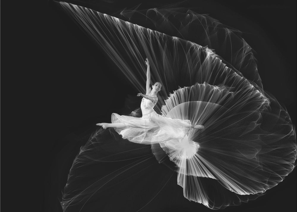 Come...let dance - Poster / Art Print