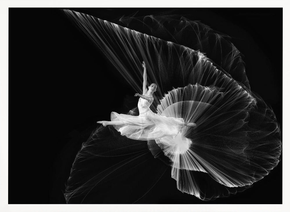 Come...let dance - Poster / Art Print