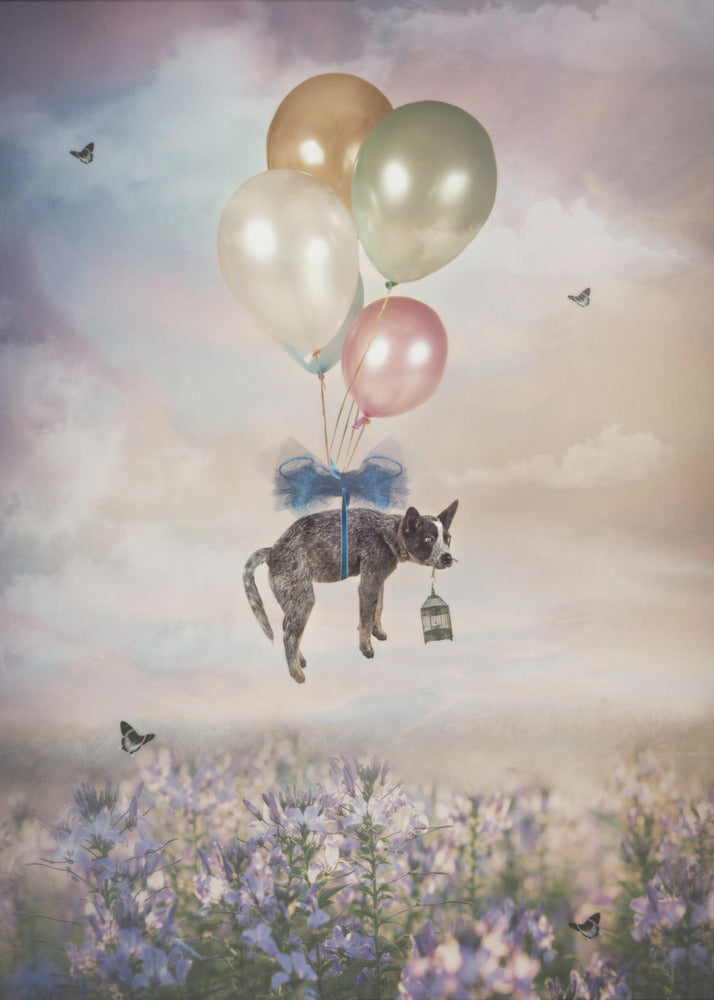 The Balloon Ride - Poster / Art Print
