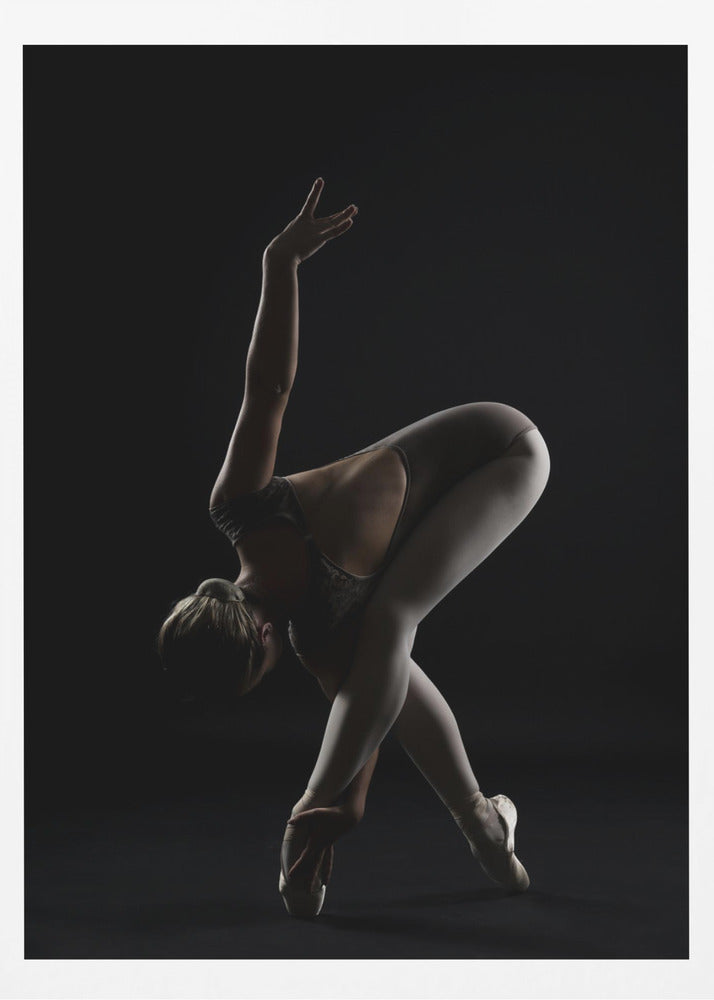 The Bird - Poster / Art Print