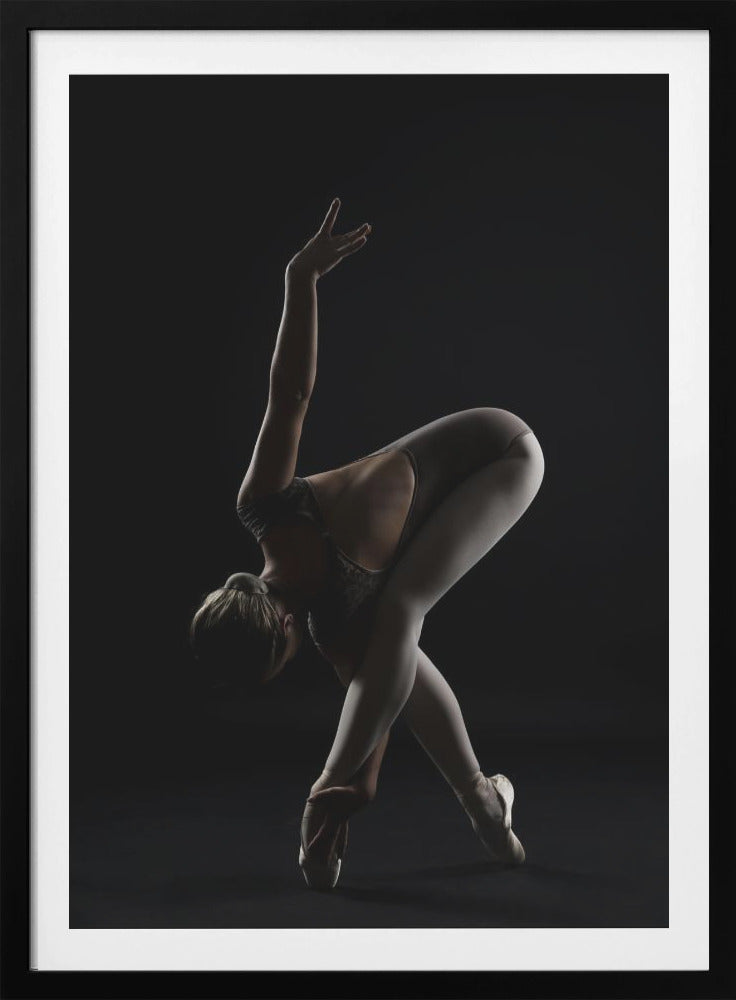 The Bird - Poster / Art Print