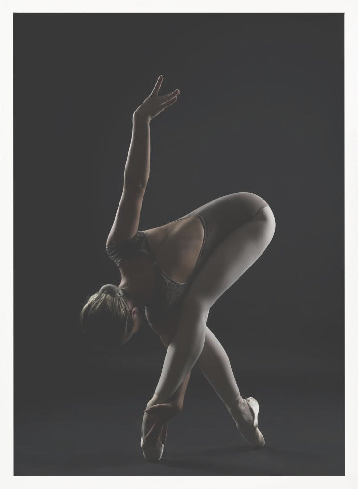 The Bird - Poster / Art Print