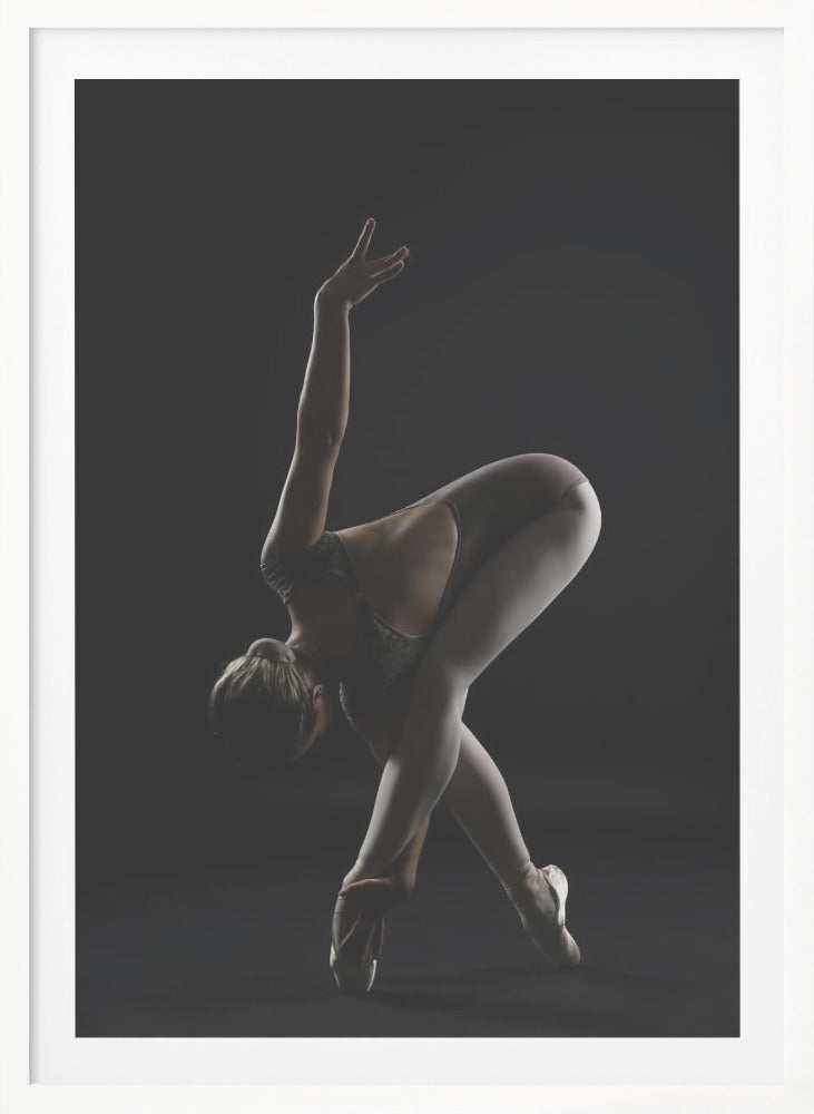 The Bird - Poster / Art Print