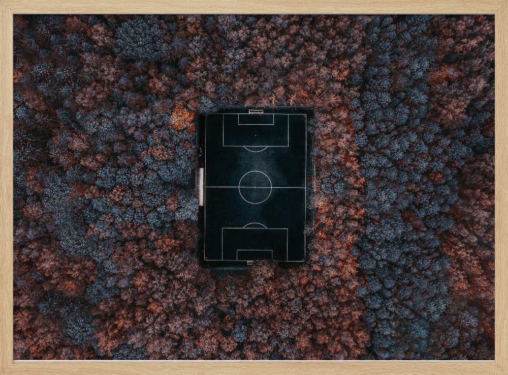 playing in the forest - Poster / Art Print