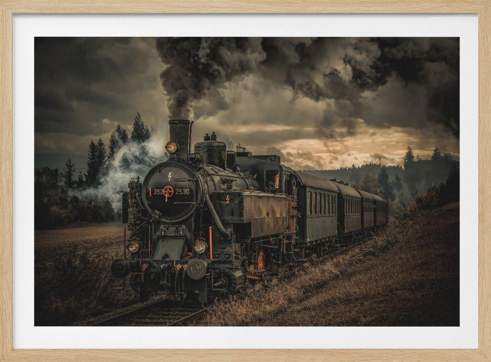Gold digger train - Poster / Art Print
