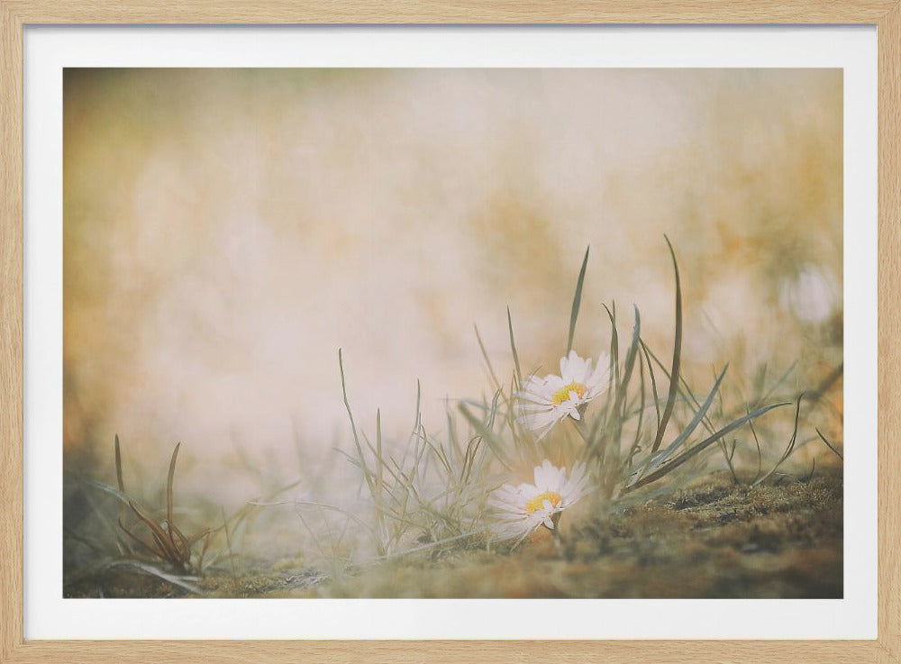 Summertime - Poster / Art Print
