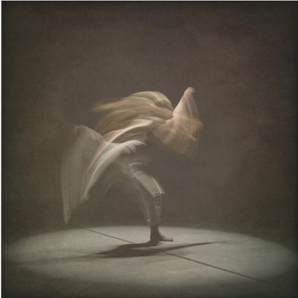 Transformer of dance - Poster / Art Print