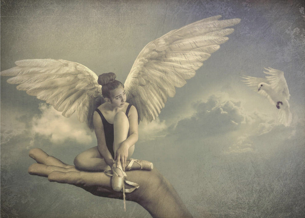 Spread your wings - Poster / Art Print