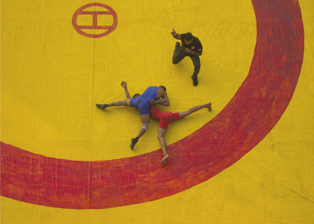 DANGAL - Poster / Art Print