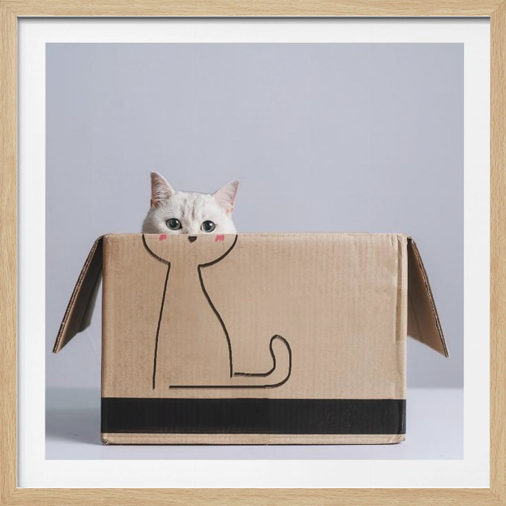 Cat in the box - Poster / Art Print