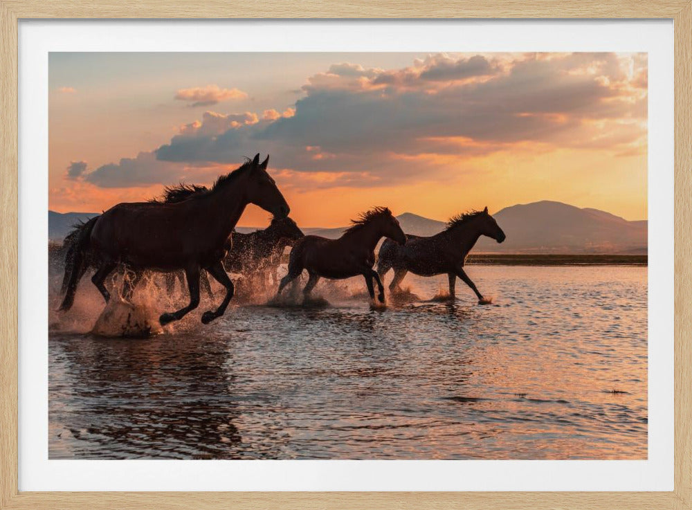 WATER HORSES - Poster / Art Print