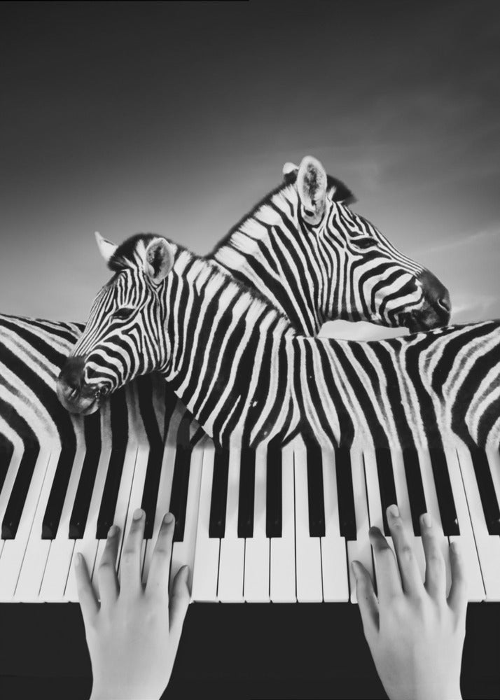 Fantasia - Poster / Art Print