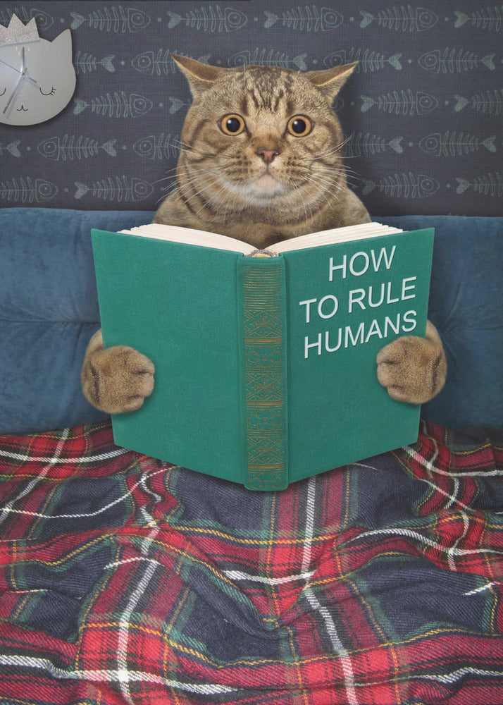 Very valuable advice ... - Poster / Art Print