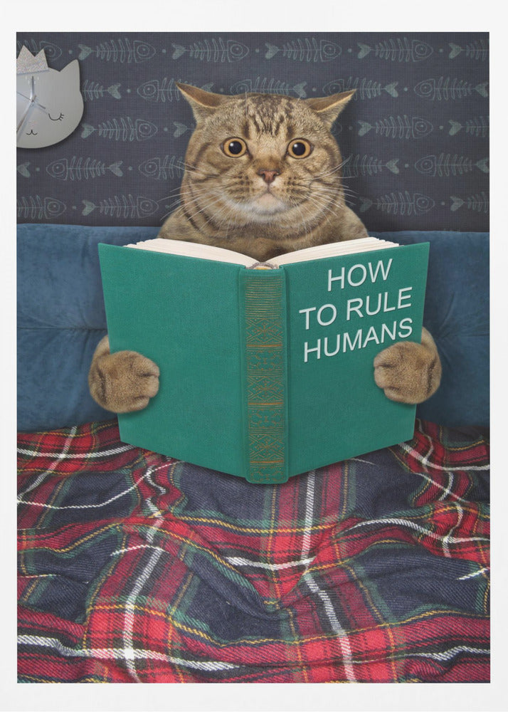 Very valuable advice ... - Poster / Art Print