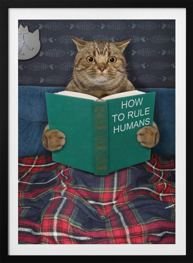 Very valuable advice ... - Poster / Art Print