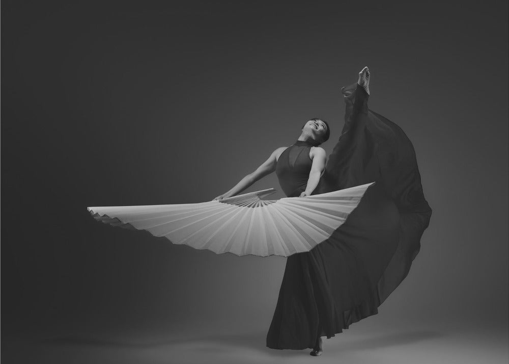 The Fan - Poster / Art Print