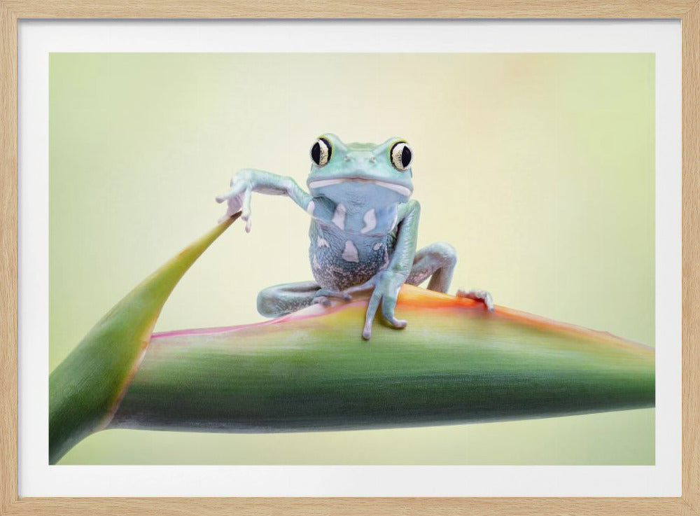 So whaddaya say ?? - Posters / Art Prints