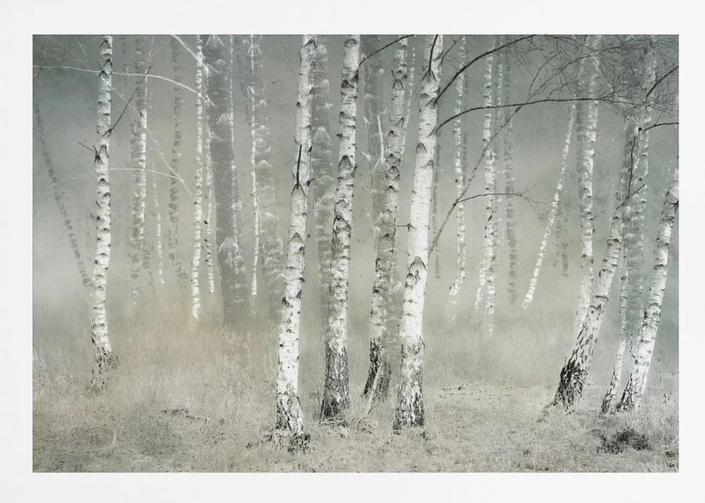 Morning silence - Poster / Art Print