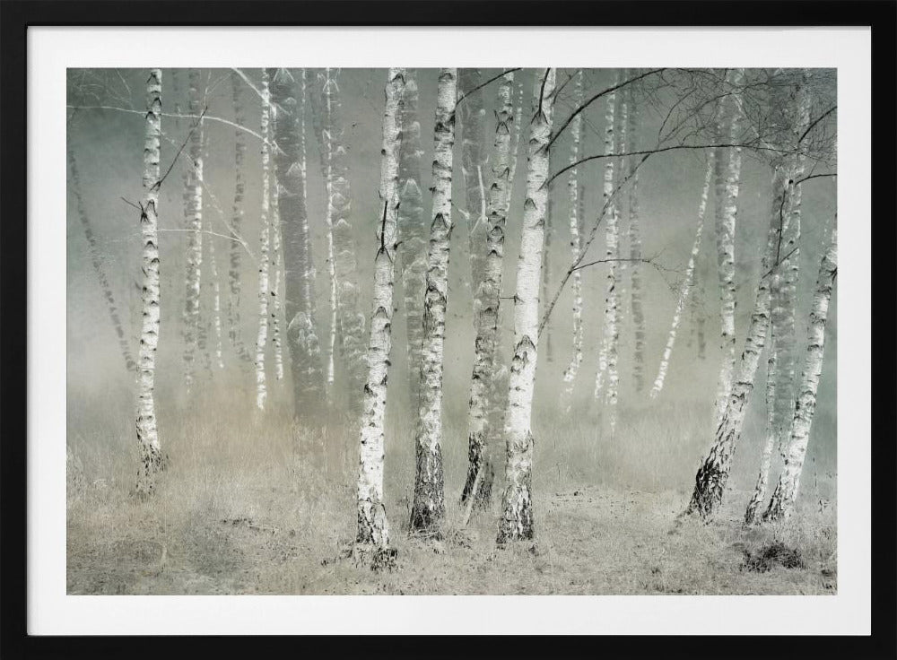 Morning silence - Poster / Art Print