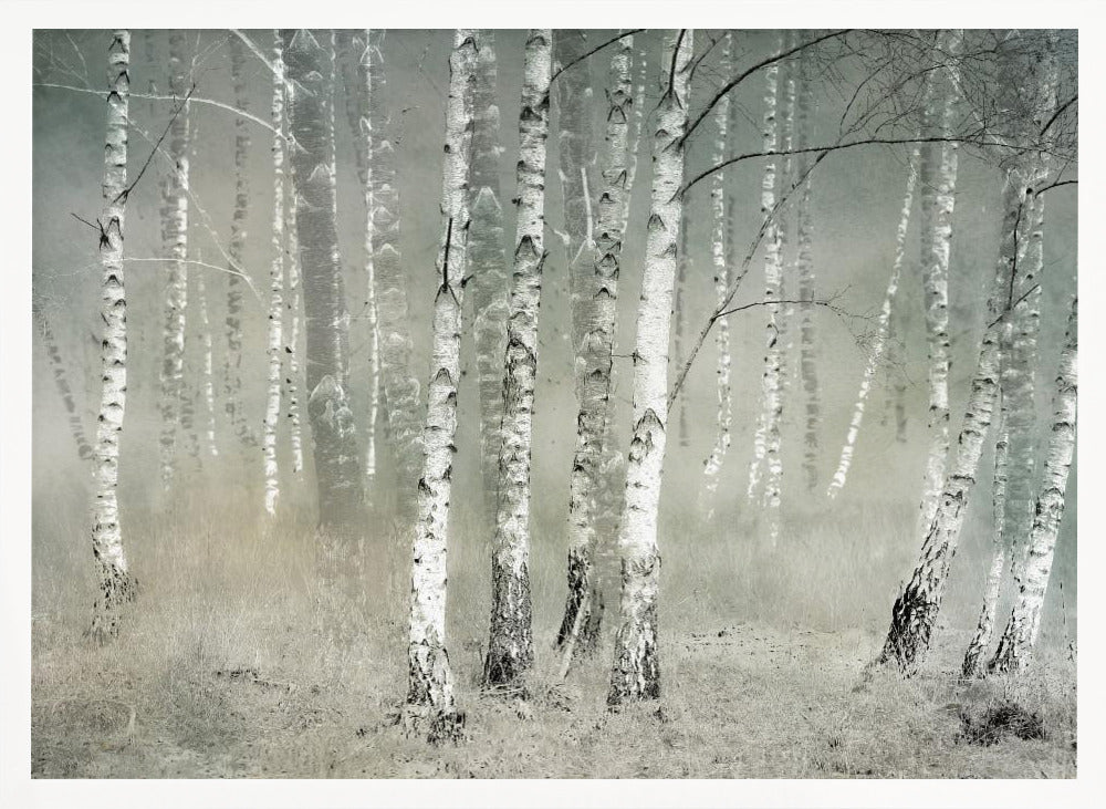 Morning silence - Poster / Art Print