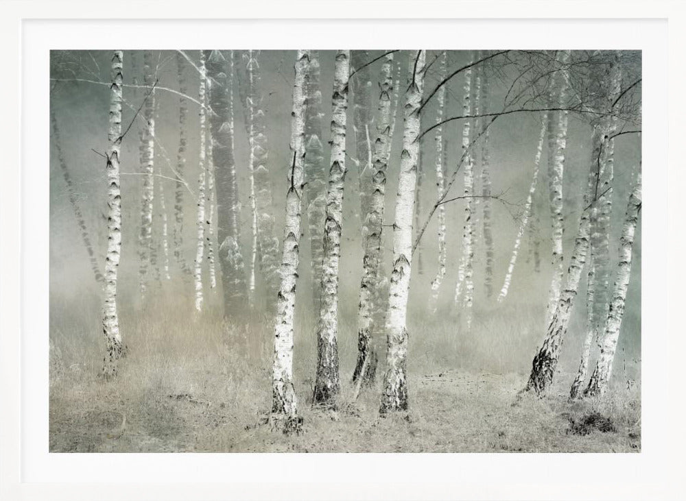 Morning silence - Poster / Art Print
