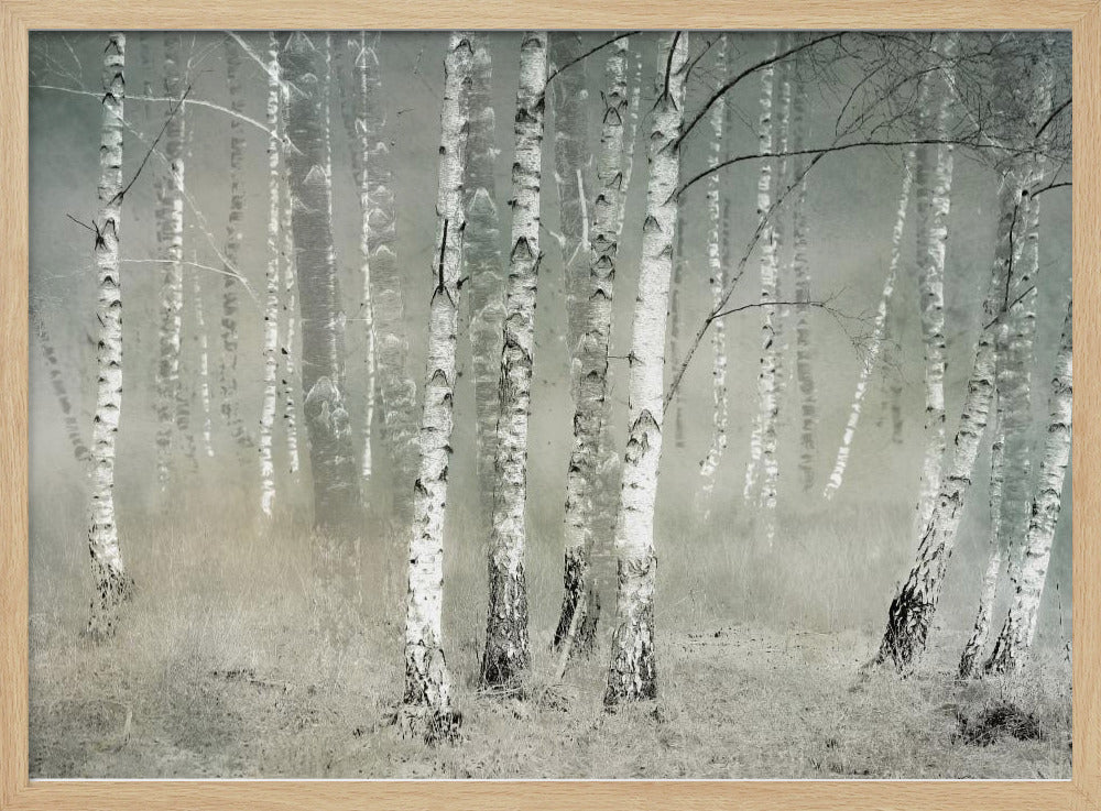 Morning silence - Poster / Art Print