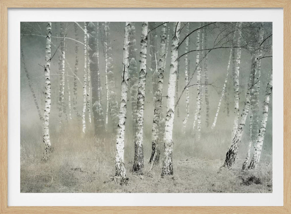 Morning silence - Poster / Art Print