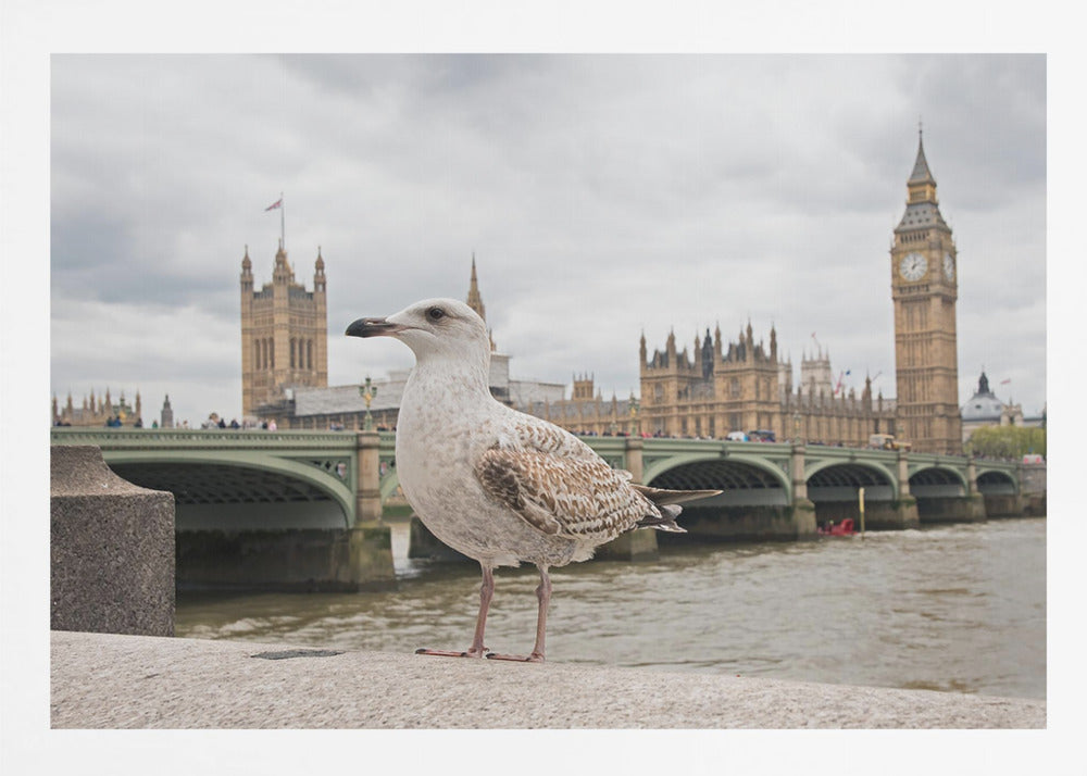 The Guardian - Poster / Art Print