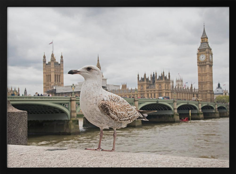 The Guardian - Poster / Art Print
