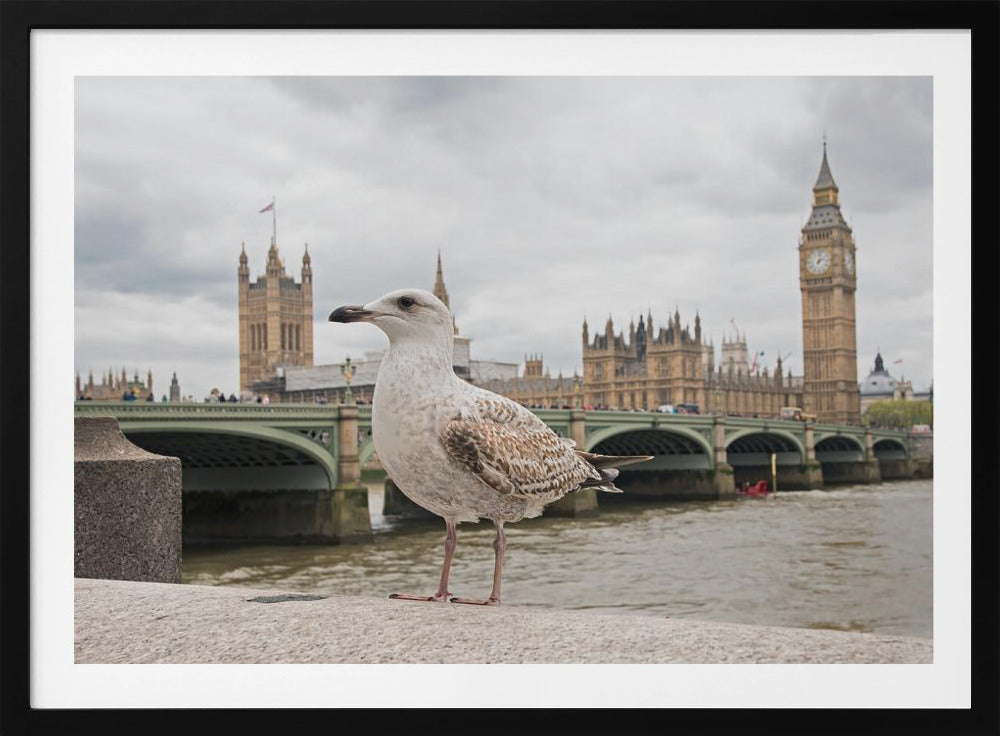 The Guardian - Poster / Art Print
