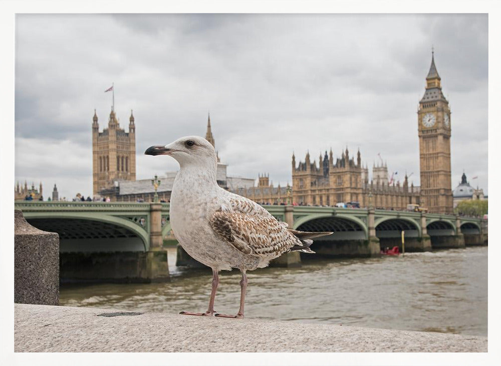 The Guardian - Poster / Art Print