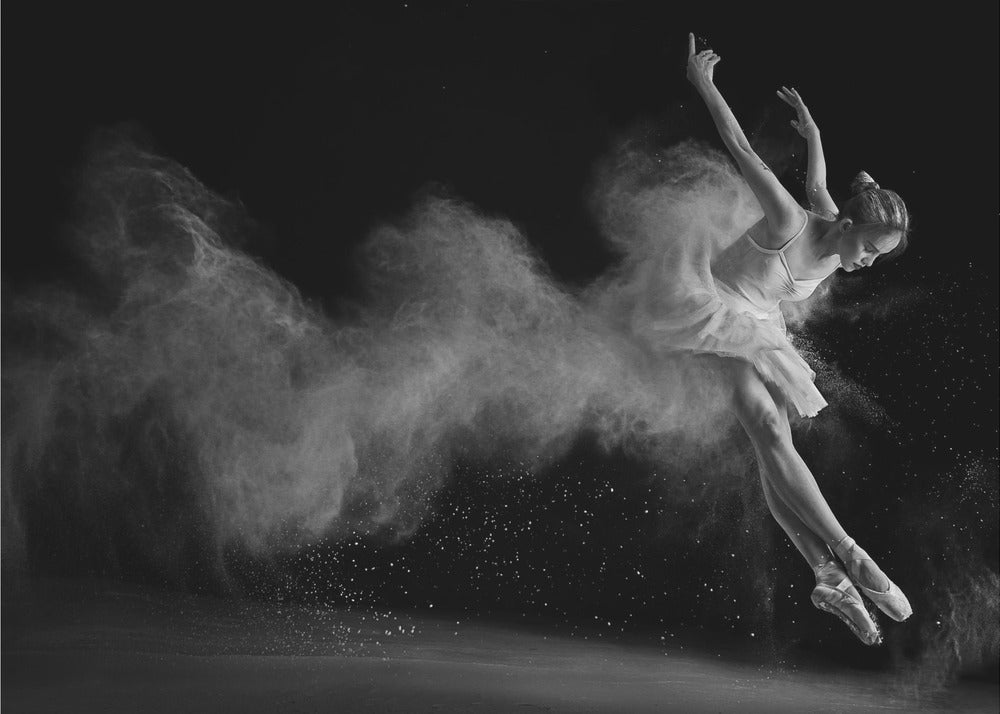 The White Swan - Poster / Art Print