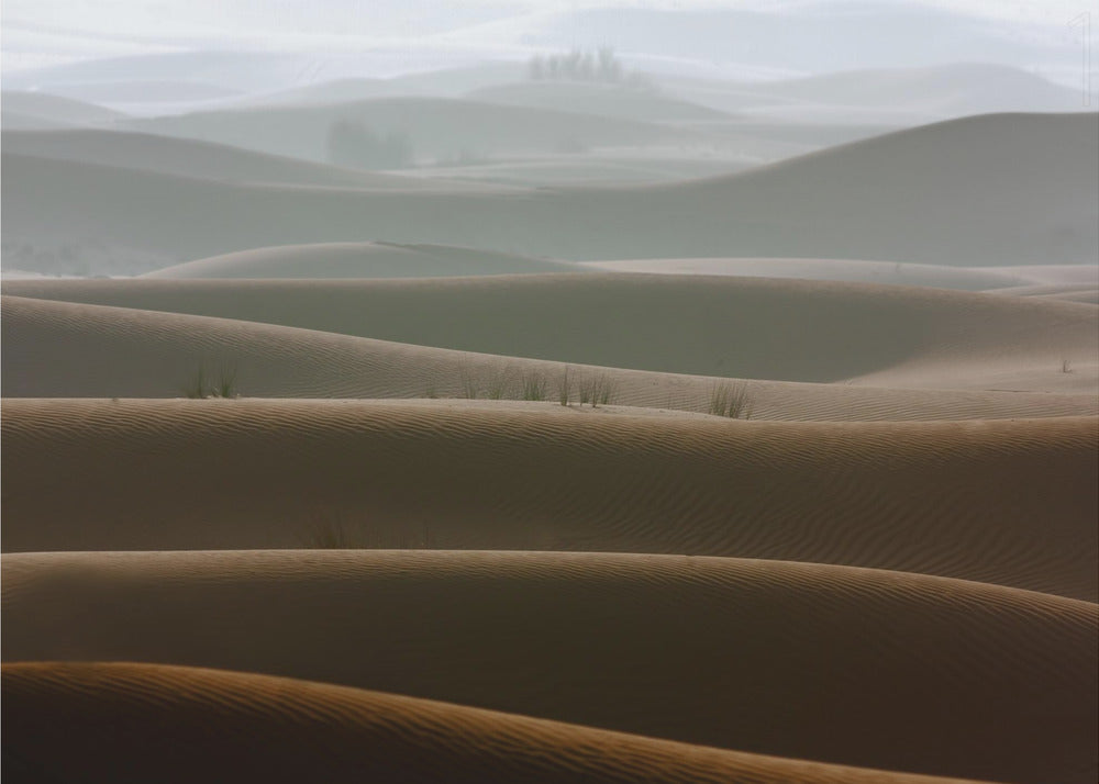 Foggy morning - Poster / Art Print