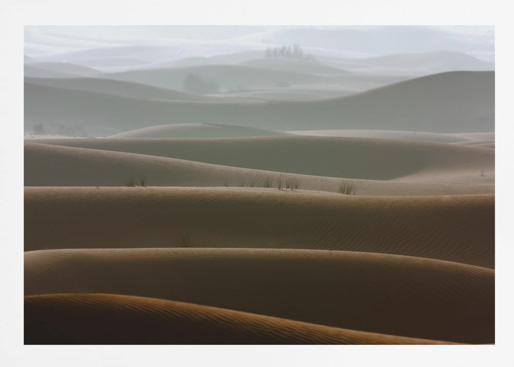 Foggy morning - Poster / Art Print