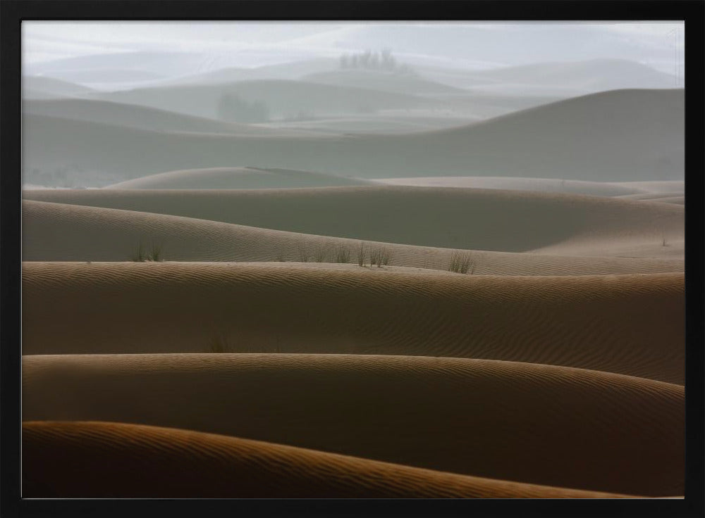 Foggy morning - Poster / Art Print