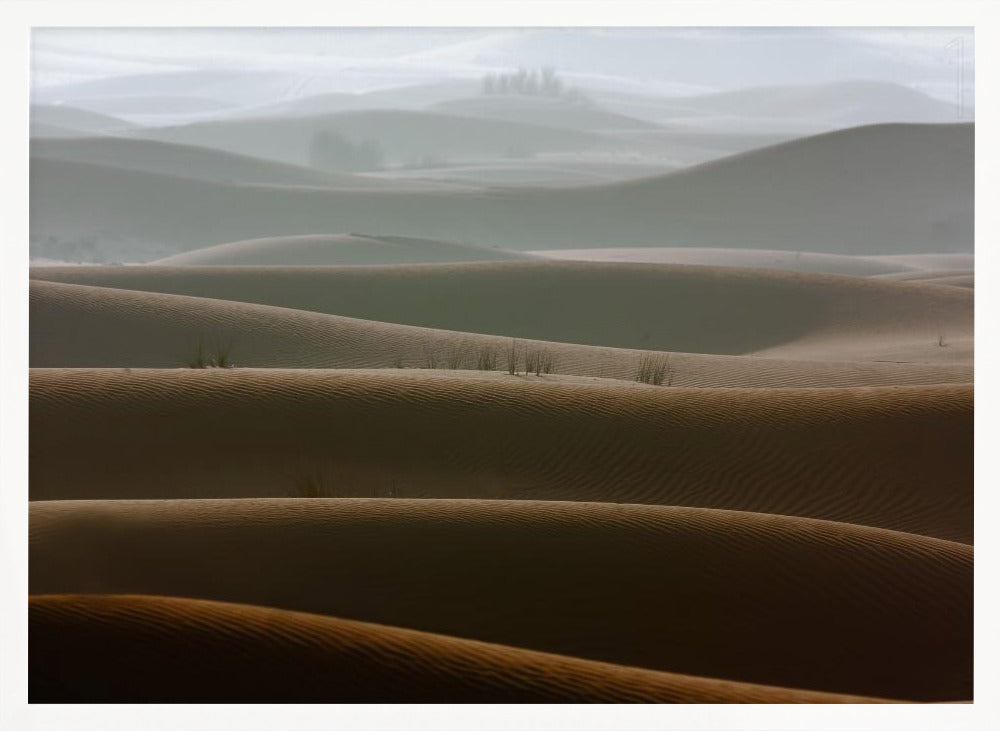 Foggy morning - Poster / Art Print