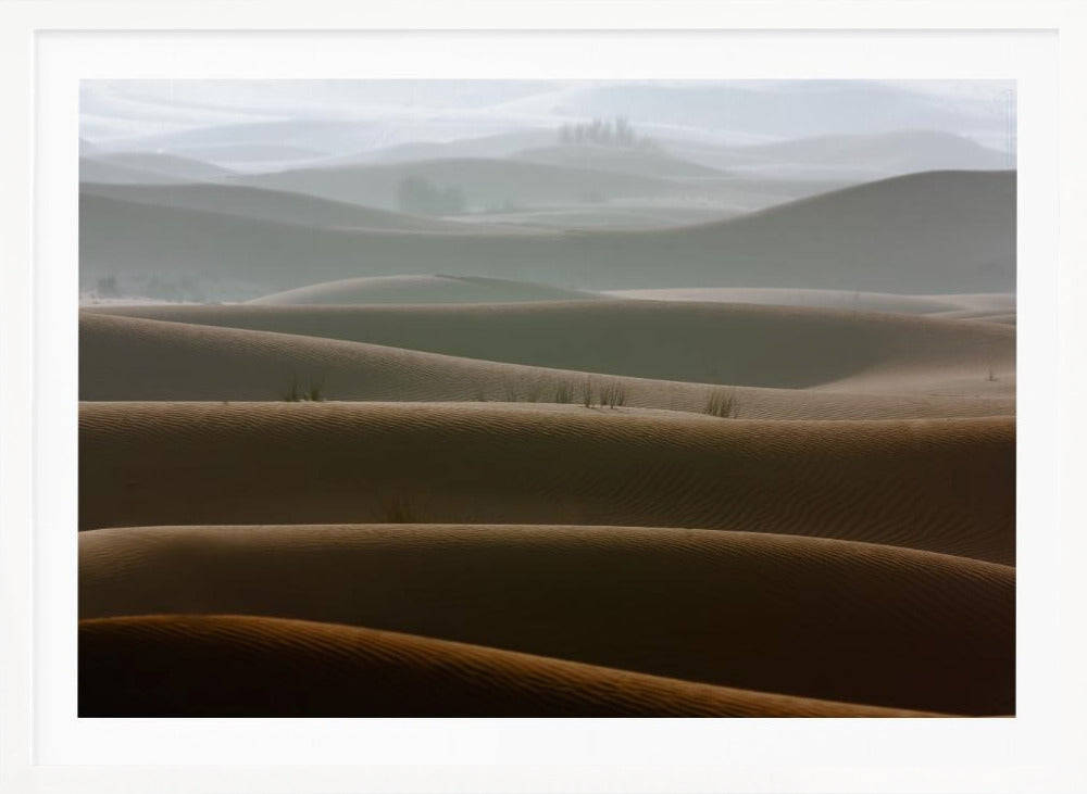 Foggy morning - Poster / Art Print