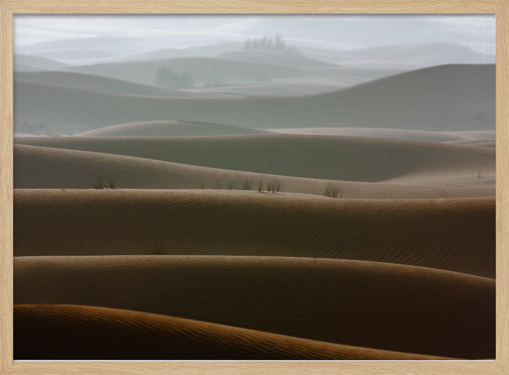 Foggy morning - Poster / Art Print