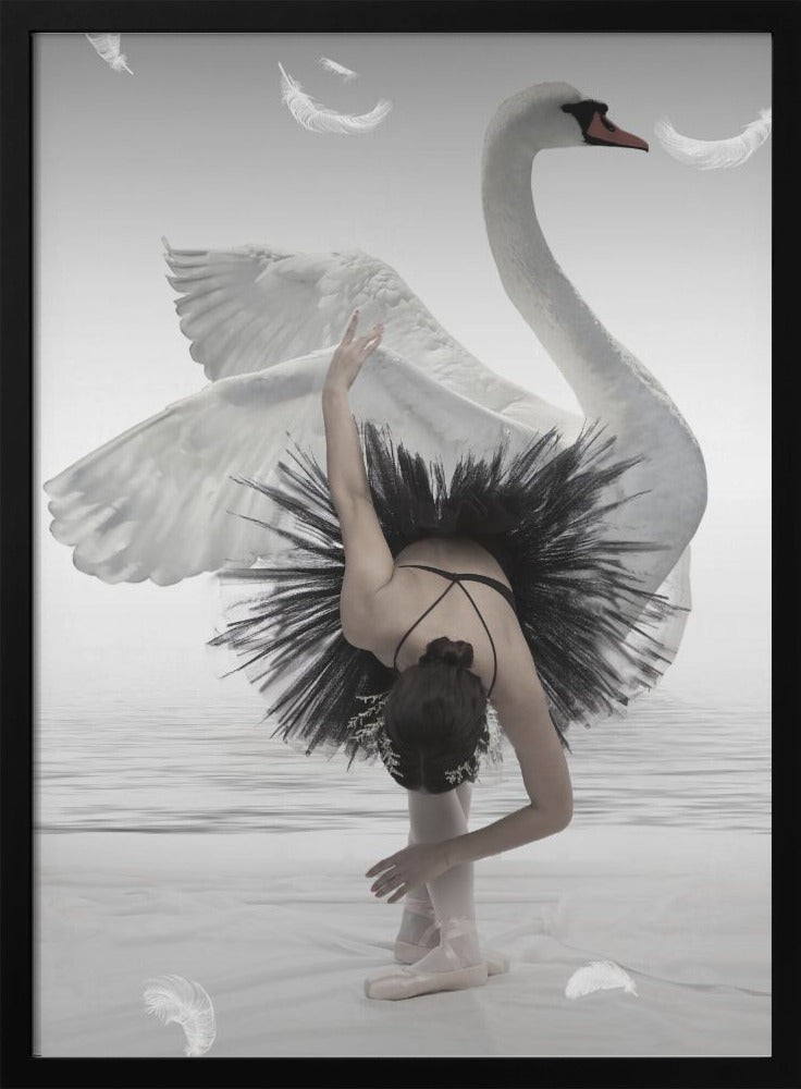 Swan Lake - Poster / Art Print