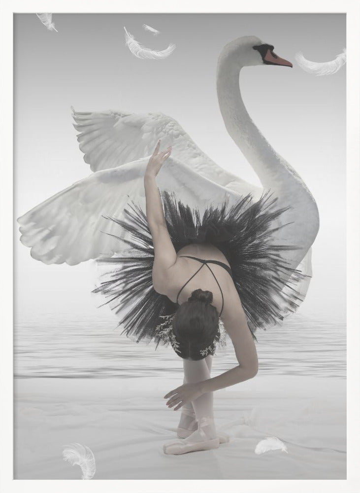 Swan Lake - Poster / Art Print