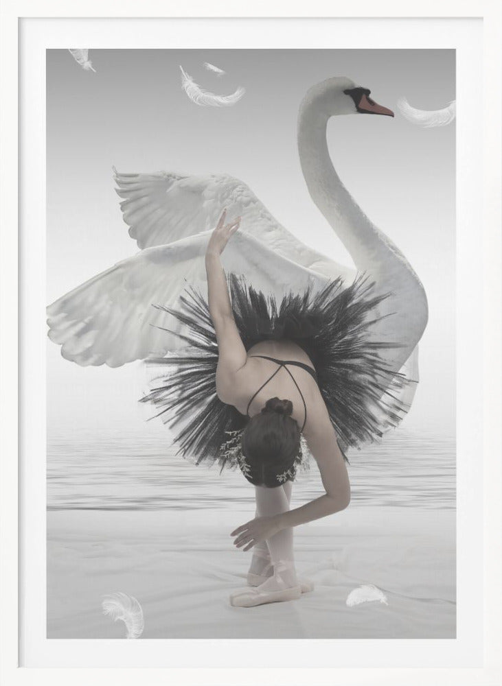 Swan Lake - Poster / Art Print