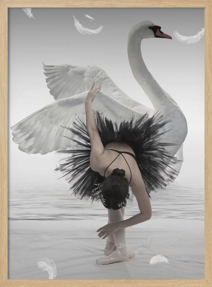 Swan Lake - Poster / Art Print