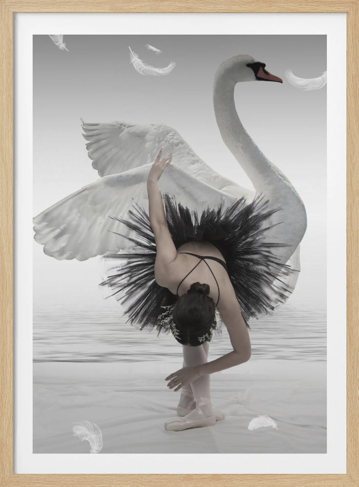 Swan Lake - Poster / Art Print