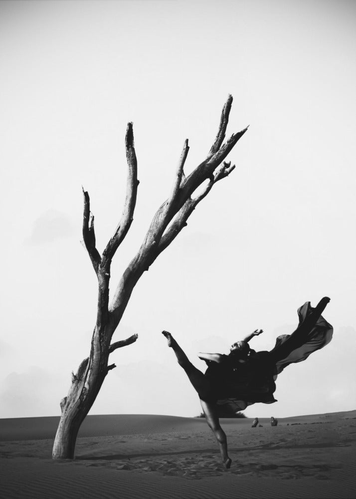 Contrast - Poster / Art Print