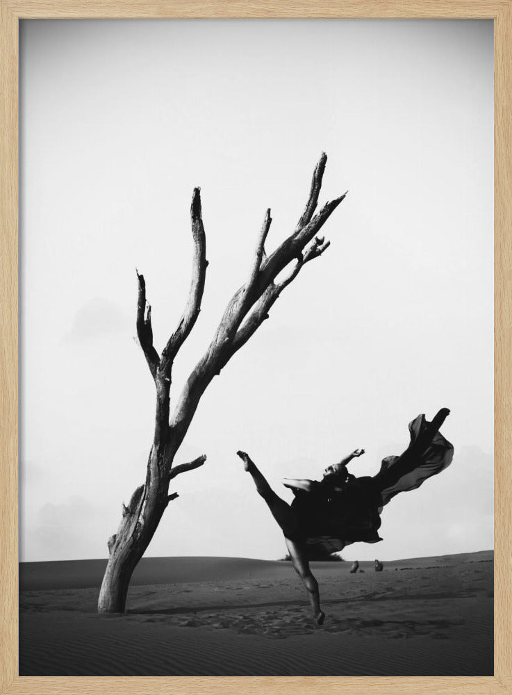 Contrast - Poster / Art Print