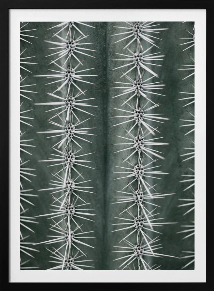 Cactus green - Poster / Art Print