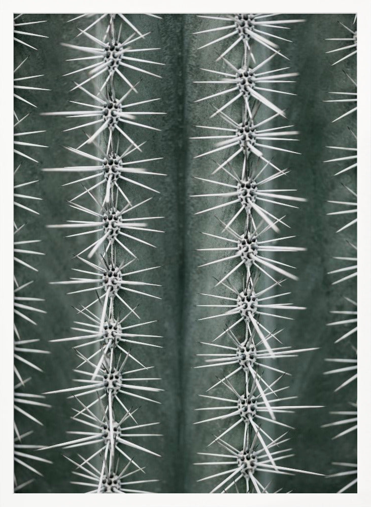 Cactus green - Poster / Art Print