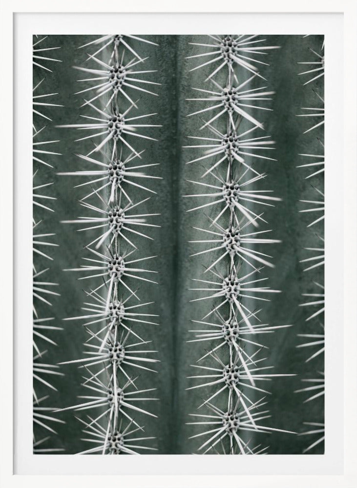 Cactus green - Poster / Art Print